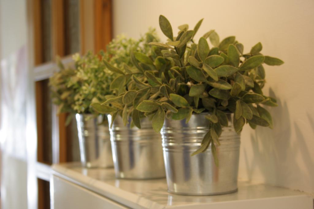 Hotel Nizza Creative Hotel Rimini Luaran gambar